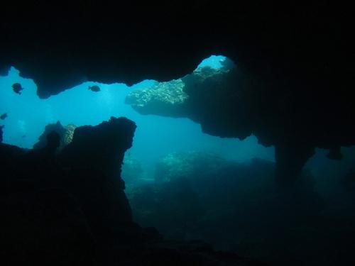 深海魚を食べる方法は？身近な魚や主な調理の仕方を紹介