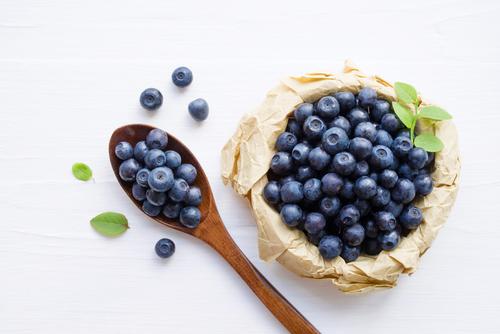 ワイルドブルーベリーとは？含まれる栄養素と美味しい食べ方を紹介
