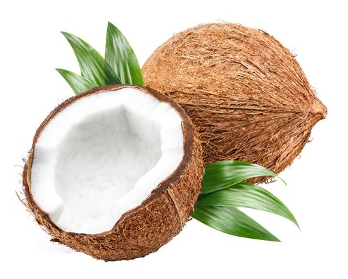 中鎖脂肪酸が豊富！【ココナッツ】の栄養と効果・効能を詳しく解説！