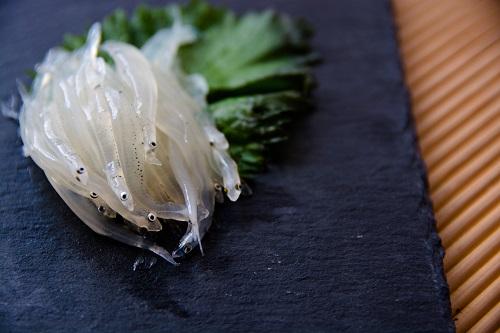 白魚ってどんな魚 美味しい食べ方やしろうおとの違いも紹介 食 料理 オリーブオイルをひとまわし