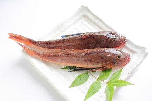 ほうぼうとは 刺身でも煮付けでも美味しい赤色の海水魚を詳しく解説 食 料理 オリーブオイルをひとまわし