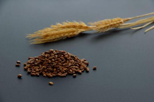 スーパー大麦が注目されている理由とは？期待できる効果も解説！