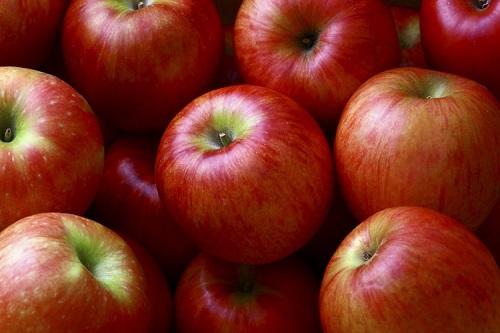 【陽光】は甘みと酸味のバランスが絶妙なりんご！育てるのも簡単？