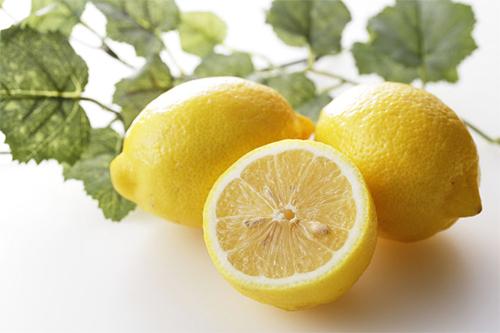 リスボンレモンは育てやすい！収穫後に美味しく食べる方法も紹介