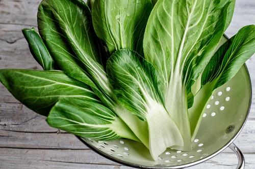 チンゲン菜は冷凍向きの野菜！解凍方法と上手な使い方を紹介！
