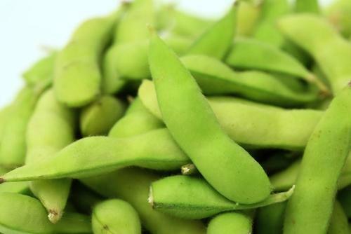 枝豆の美味しい食べ方知ってる？茹で方のコツも紹介