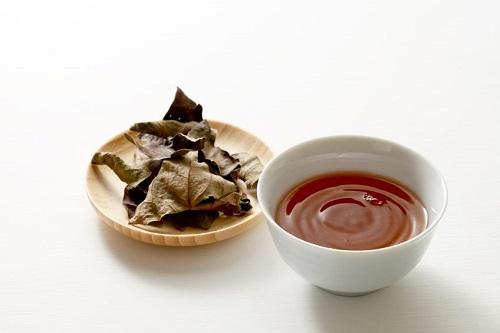 柿は葉をお茶にしても美味しい！簡単な作り方や淹れ方を紹介