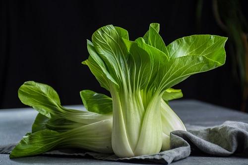 チンゲン菜の旬はいつ？栄養素に保存方法や美味しい食べ方まで紹介