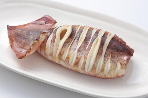 イカは全部で450種類！？日本でよく食べられている11種類を紹介！