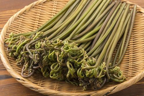 わらびのアク抜きは重曹がおすすめ 失敗を防ぐコツや時間も確認 食 料理 オリーブオイルをひとまわし