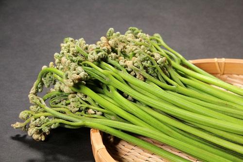 わらびの茹で方は一通りじゃない 色々な材料を使った方法を紹介 食 料理 オリーブオイルをひとまわし