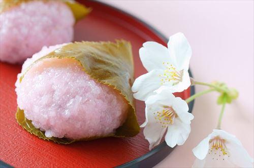 桜餅の葉っぱは食べるもの？気になる葉っぱの種類や塩漬けの作り方