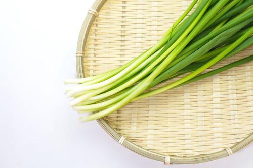 あさつきとは ネギとの違いや栄養価をはじめ美味しい食べ方なども紹介 食 料理 オリーブオイルをひとまわし