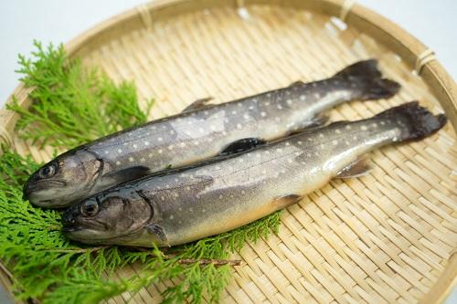 イワナ 料理を美味しく作るコツ 上手な下処理方法とは 食 料理 オリーブオイルをひとまわし