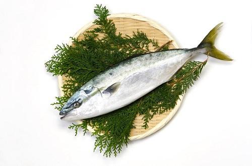 出世魚ブリの呼び名や順番は カンパチやハマチとの違いも調査 食 料理 オリーブオイルをひとまわし