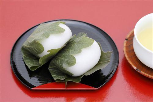 柏餅の葉っぱは食べられる？葉っぱの種類や役割などを詳しく解説！