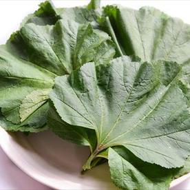 野菜 タグ 食 料理 オリーブオイルをひとまわし