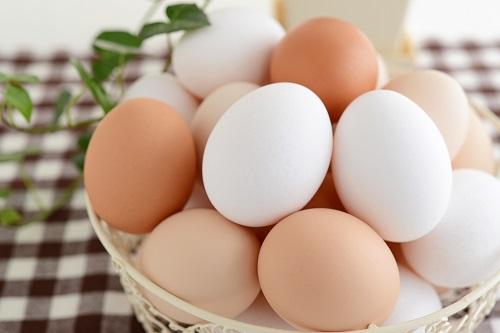 卵の栄養を徹底解説！食べ方による栄養価の違いや1日の摂取目安量も
