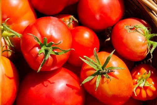 トマトの保存方法は？常温・冷蔵・冷凍どれがおすすめ？