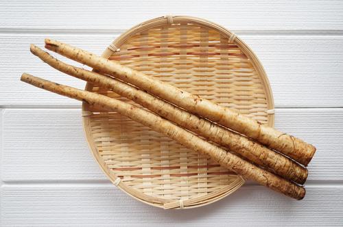 【ごぼうレシピ】主菜でも副菜でもごぼうの香りと食感を楽しもう