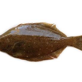 魚介 タグ 食 料理 オリーブオイルをひとまわし