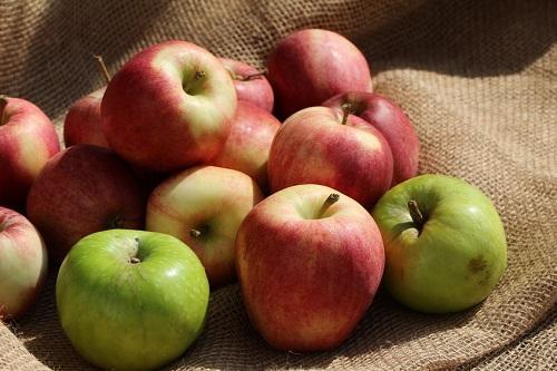日本で人気のりんごの種類と特徴｜旬の時期や特徴別の種類も解説