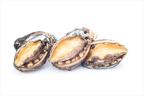 アワビの焼き方 殻つきもステーキも家で美味しく調理しよう 食 料理 オリーブオイルをひとまわし