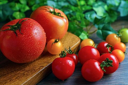 トマトの種類は世界で1万超！日本で人気の種類や基本のソースも