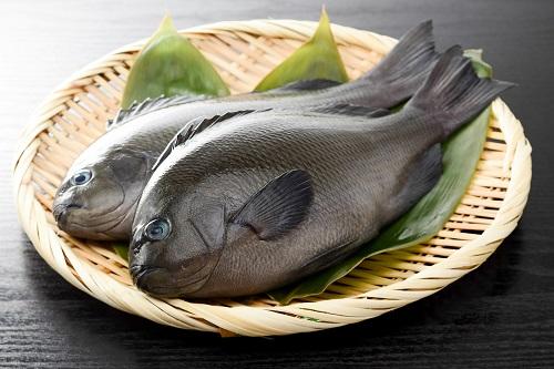 メジナは美味しい魚 味やおすすめ料理 捌き方 釣り方まで紹介 食 料理 オリーブオイルをひとまわし