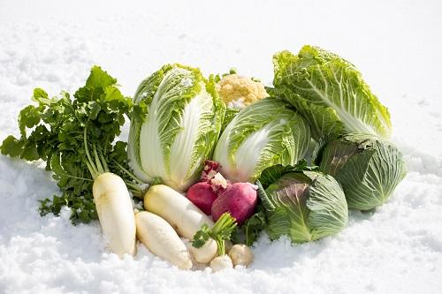 雪野菜