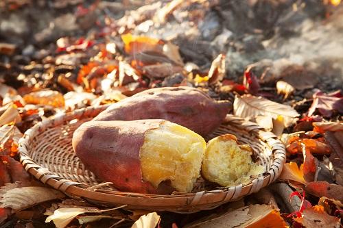 焚き火の焼き芋