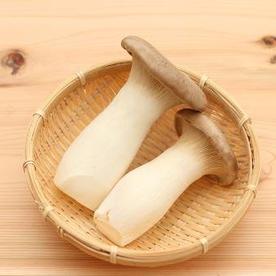 エリンギ タグ 食 料理 オリーブオイルをひとまわし