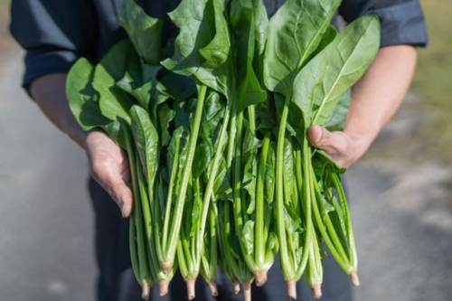 プロに聞く！【ほうれん草】のおすすめの食べ方とは