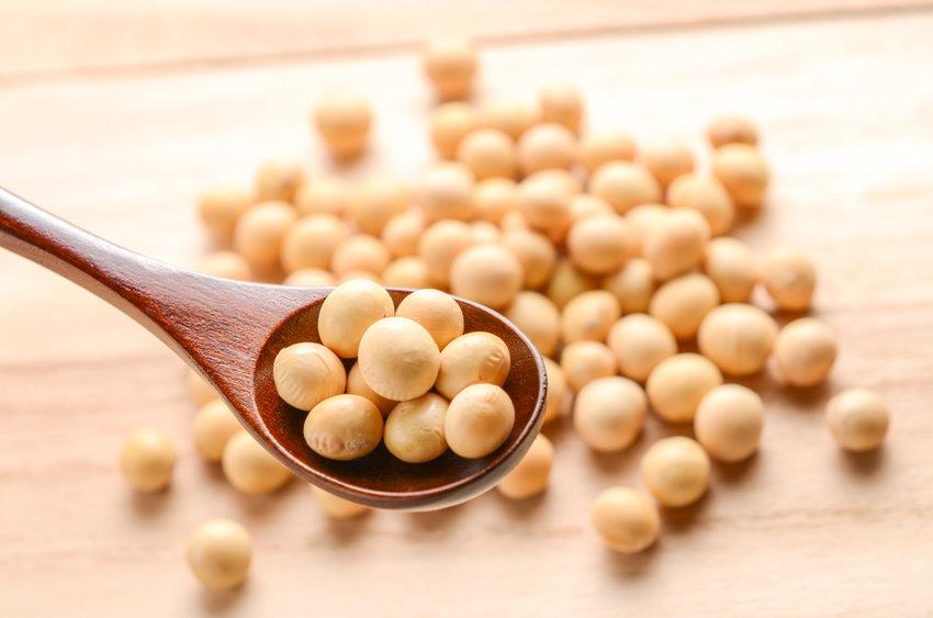 大豆はタンパク質の宝庫！おすすめの調理法は？