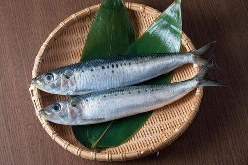 イワシ の 塩焼き