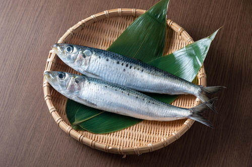 いわしは刺身でも食べられる 知っておきたい注意事項と捌き方とは 食 料理 オリーブオイルをひとまわし