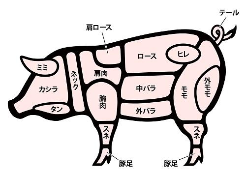 管理栄養士監修 豚肉のカロリーを紹介 部位別に違いを解説 食 料理 オリーブオイルをひとまわし