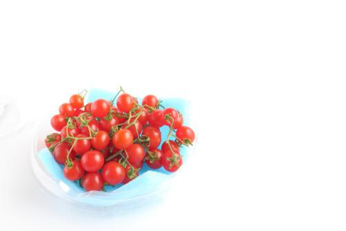 マイクロトマトは世界で最も小さいトマト 育て方や購入方法を紹介 食 料理 オリーブオイルをひとまわし