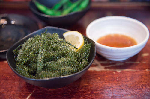 海ぶどうはタレで食べよう 定番や意外に合うタレを徹底紹介 食 料理 オリーブオイルをひとまわし