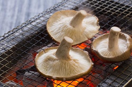 どんこってどんなしいたけ 美味しい食べ方や保存方法を紹介 食 料理 オリーブオイルをひとまわし