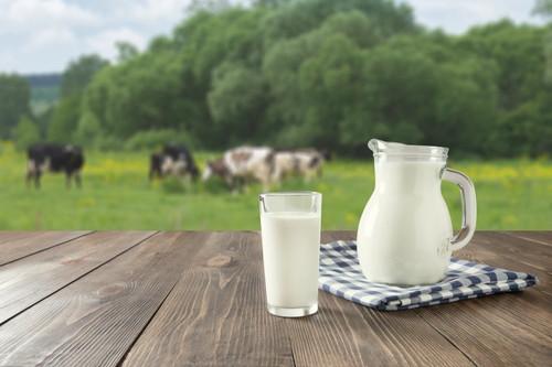 牛乳の賞味期限