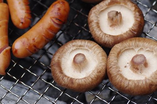 椎茸の焼き方