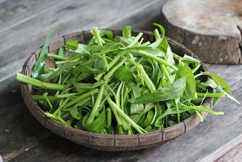 空芯菜の栄養