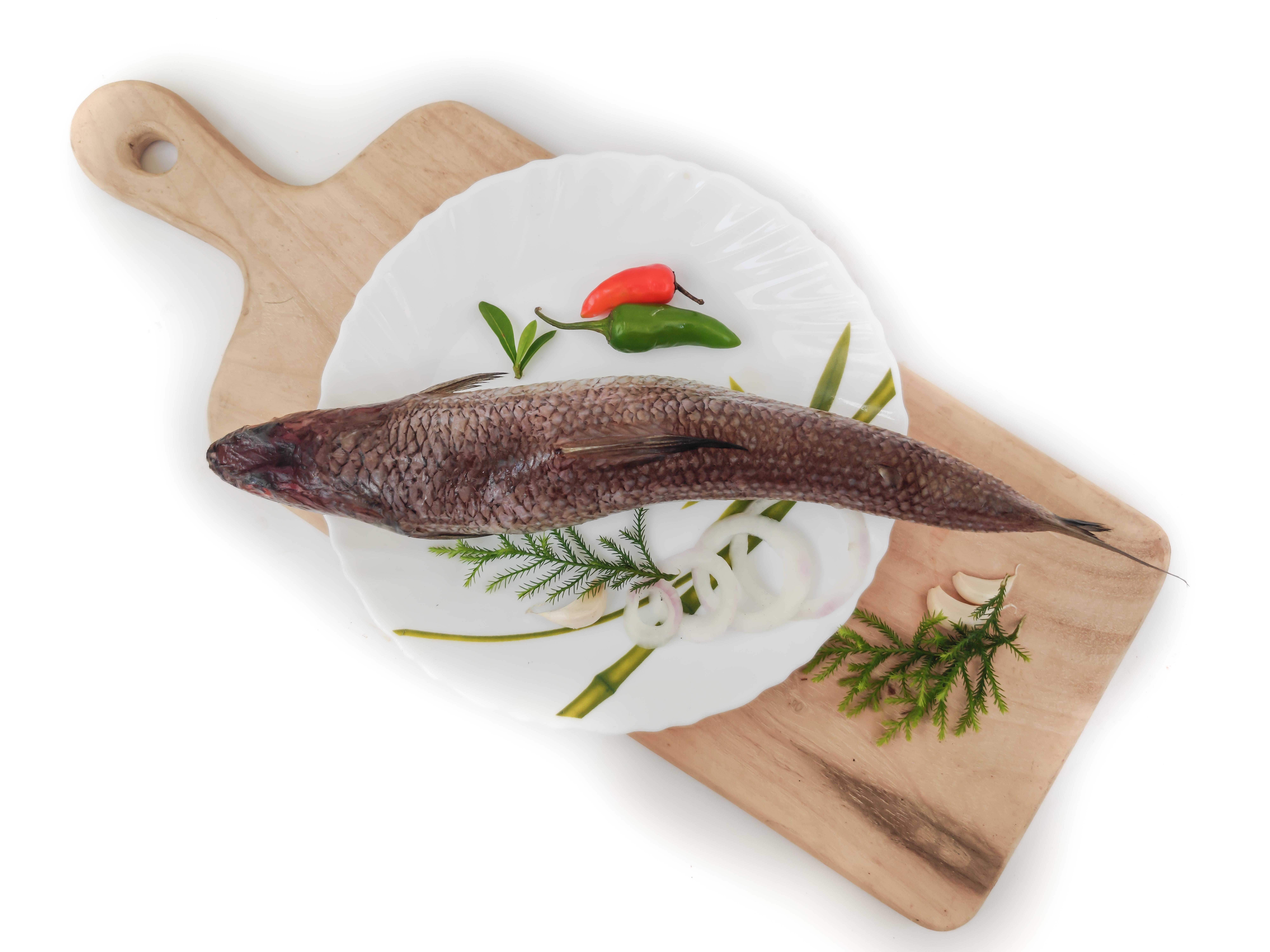 エソは高級魚って本当 小骨だらけのエソの美味しい食べ方 食 料理 オリーブオイルをひとまわし