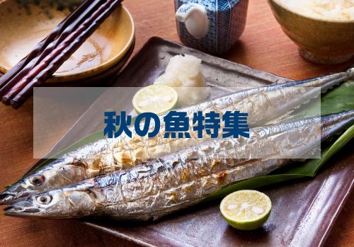 食欲の秋を満喫！旬魚を徹底解説