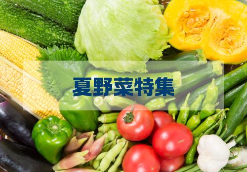 栄養満点？今が旬の夏野菜