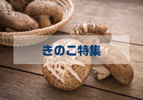 食欲の秋に食べたい！きのこ特集