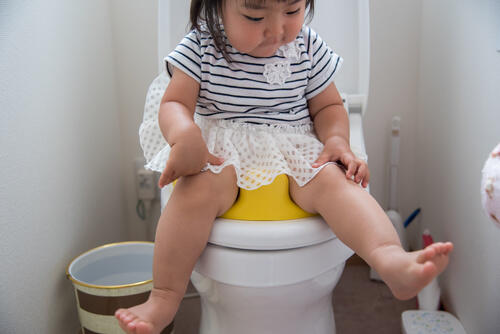 女の子のトイレトレーニングを成功させるためのポイントを解説 子育て オリーブオイルをひとまわし