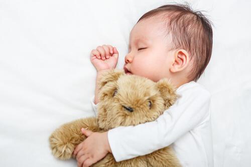 ぬいぐるみを抱っこして眠っている赤ちゃんの写真