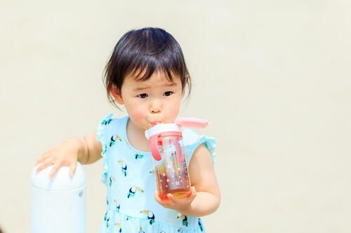 幼稚園で使う水筒はストロー 直飲み おすすめの大きさや素材も解説 子育て オリーブオイルをひとまわし 幼稚園で使う水筒はストロー 直飲み おすすめの大きさや素材も解説 子育て オリーブオイルをひとまわし
